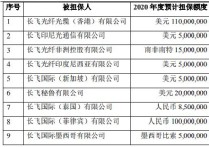 武汉科技｜长飞光纤2020年度对外担保额度约11.33亿元