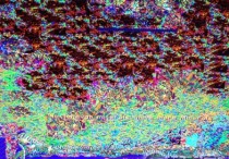 windows 7玩战争策略游戏星际争霸花屏问题解决方法