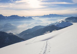 市占率不足0.1% 造血能力不足 罗普特科创上市谋续命？