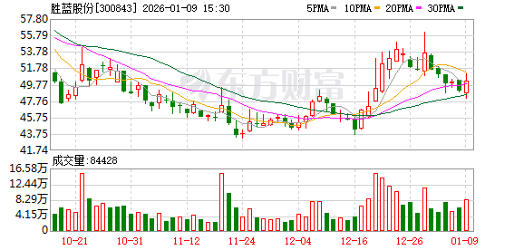 胜蓝股份：公司不存在逾期担保